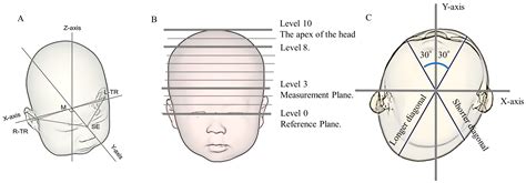 Image result for Identity Conditional or Inconsistent Examples