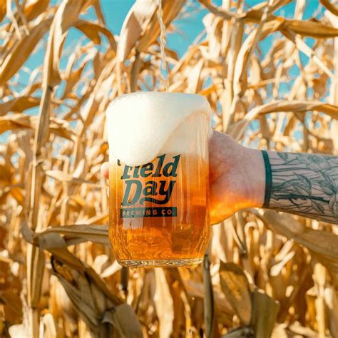 Field Day Brewing Co. - Blindtiger Design