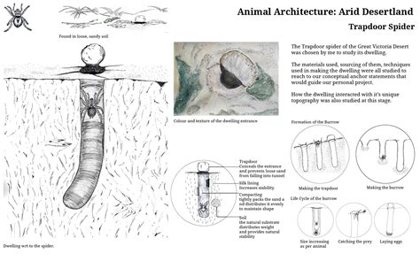 Swings Of The Earth | CEPT - Portfolio