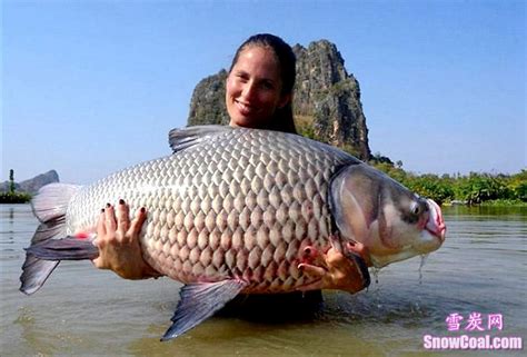 盘点世界上钓到的最大的鱼[4] - 雪炭网