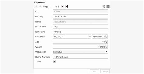 Image result for WinForms Tutorial User Input Dat Aflow