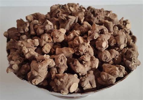 Cellulitis: Causes, Symptoms, and Treatment Options – Caresupp.in