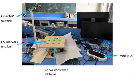 Task Visual Moecco 的图像结果