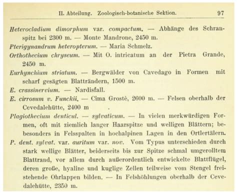 Revision of the Original Material of Plagiothecium denticulatum var ...