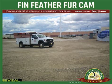 Keep Up With Construction - Fin Feather Fur Cam!