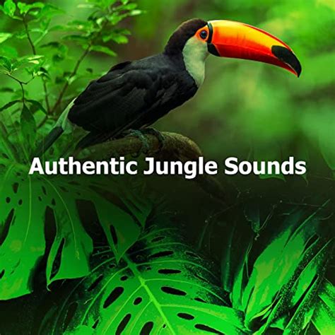 Image result for Alien Jungle Sounds