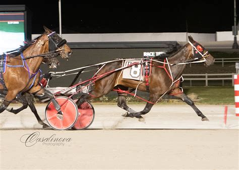 Waitforever N repeats at MGM Northfield Park - Harnesslink