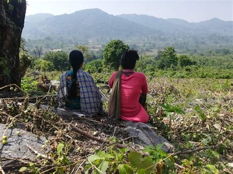 The Wire: The Wire News India, Latest News,News from India, Politics ...