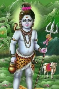 Shiv ji Poster Shiv Parvati,Mahadev,Mahakal,Bholenath,Lord Shiva, Hindu ...
