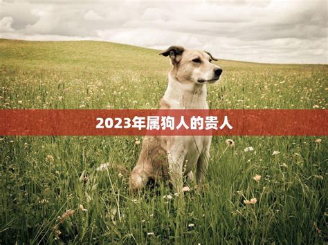 2019年7月属狗的能遇上贵人吗， 如何提升贵人运-帝神算命网