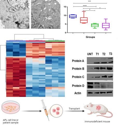 Advanced Centre for Treatment Research & Education in Cancer | High ...