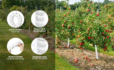 Rezultat imagine pentru Homemade Tree Trunk Protector