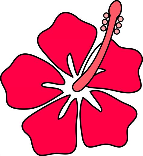 How To Draw A Hawaiian Flower | Free download on ClipArtMag