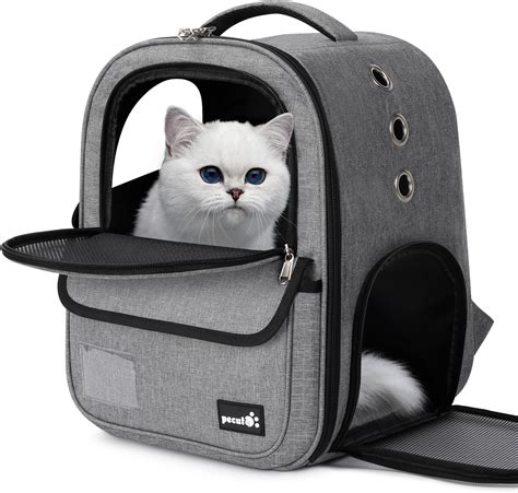 Amazon.com : Pecute Cat Backpack with Interactive Window, Cat Backpack ...