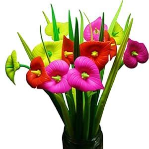 BUOP 24-Count [12+12] Bouquet of Zantedeschia Aethiopica Assorted Color ...