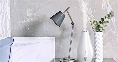 Humidifier 的图像结果