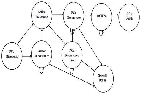 Computer Simulation Model 的图像结果