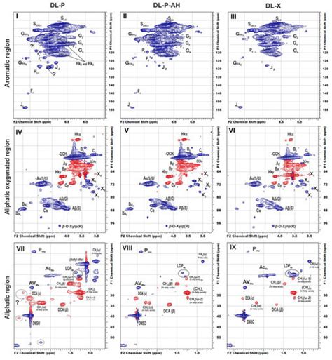 Features of the Chemical Composition and Structure of Birch Phloem ...