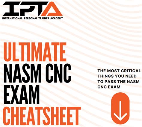 Image result for NASM Program Design Template