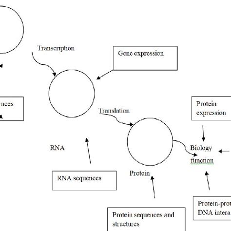 Biological 的图像结果