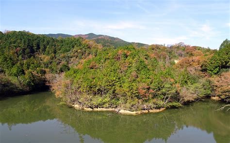 Hashimoto Tourism (2024): All You Need to Know Before You Go