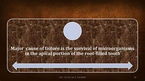 Image result for Enterococcus Faecalis Treatment Options