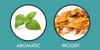 Buy Wild Stone Edge Premium Perfume for Men, 50ml|Long Lasting Eau De ...