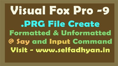 Fox Pro Programming 的图像结果