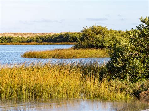 Home Office | Branch Locations | LOYALTY CU