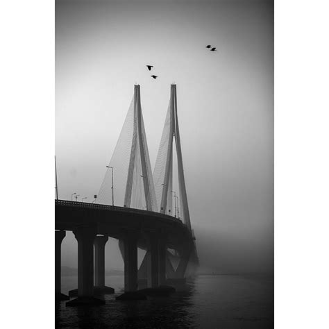 ABOUT US – Basil Leaf