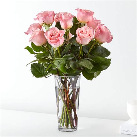 Long Stem Pink Rose Bouquet–Vons Pavilions