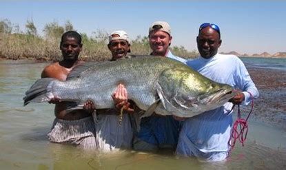 世界上最大的鱼：连续被钓了67次！（死后被在报纸上发表）_探秘志