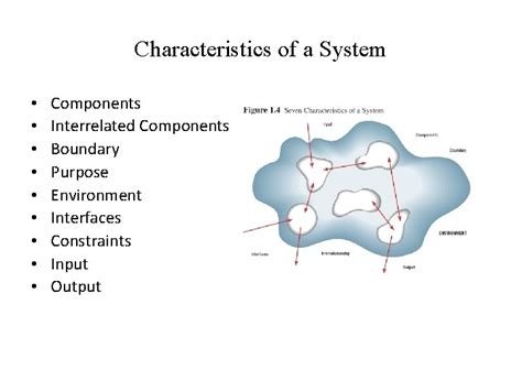 Definition System 的图像结果