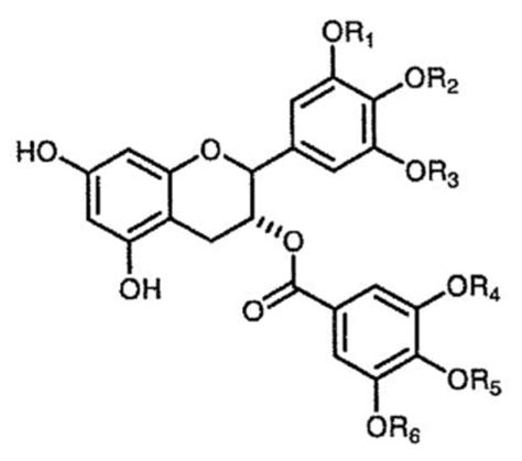 A Recent Update on the Potential Use of Catechins in Cosmeceuticals