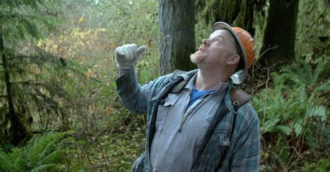 Image result for Logging Shows