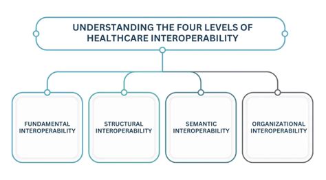 Interoperability 的图像结果