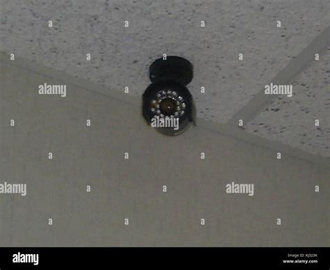 Infrared Camera Software 的图像结果
