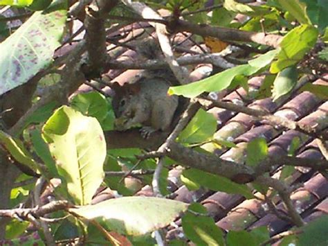 CASA DEL MAR (Zihuatanejo) - Hotel Reviews, Photos, Rate Comparison ...