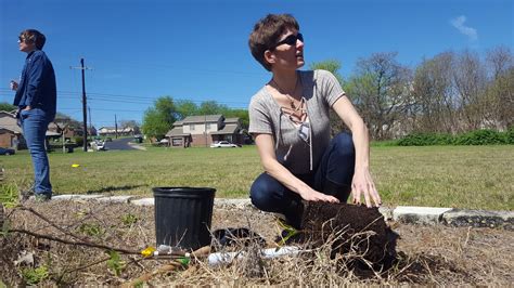 Image result for Miami Heat Tree-Planting Project