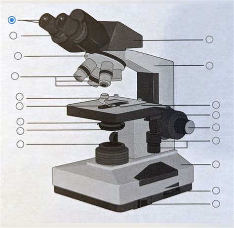 Laboratory Equipment/Microscope Parts: Clinical Lab 1 Flashcards | Quizlet