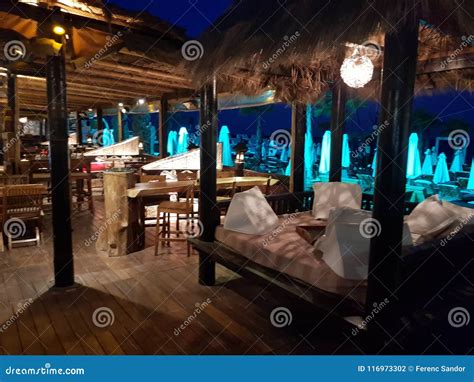 Image result for Bruce Springsteen Seaside Bar