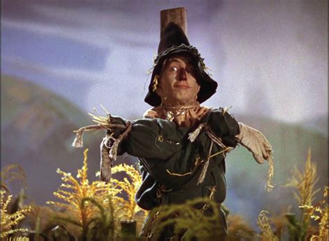 Wizard of Oz Scarecrow which way Blank Template - Imgflip