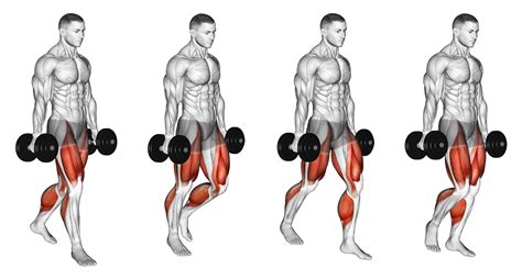 5 Shrug Alternatives to Build Huge Traps - Inspire US