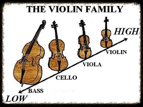 VIOLIN FAMILY 1 :: StringQuest