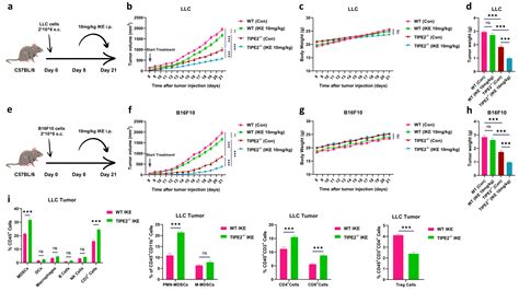 Blockade of TIPE2-Mediated Ferroptosis of Myeloid-Derived Suppressor ...