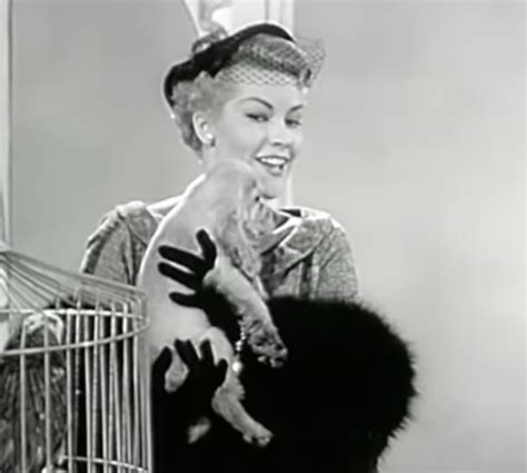 The Evolution of “How Much is That Doggie in the Window?”To A Song That Advocates for Adoption ...