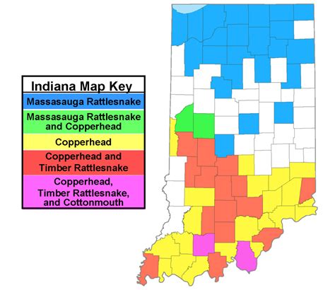 Snakes in Indiana | Owlcation