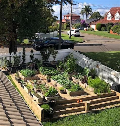 Permatour of a productive patch in Beacon Hill, Brooker Avenue, Beacon ...