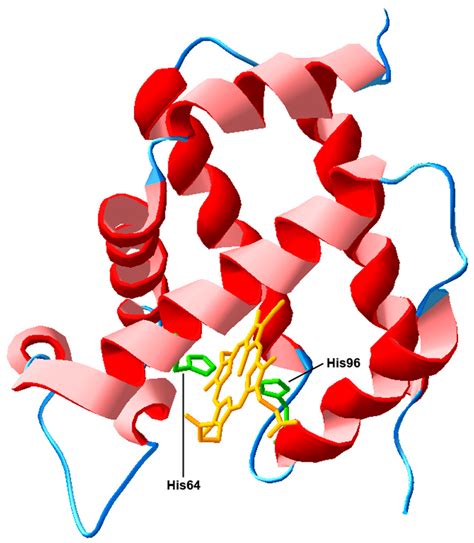 Neuroglobin, a Factor Playing for Nerve Cell Survival
