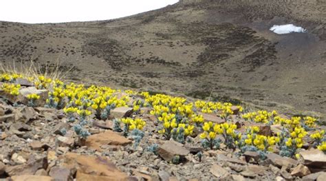 Taking Root | Nature inFocus